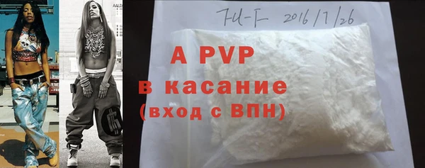 индика Богданович