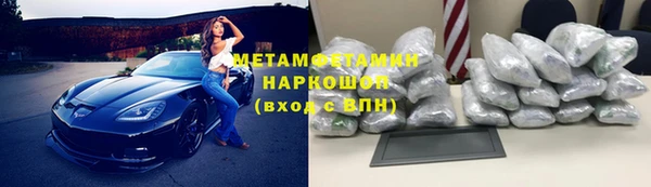 индика Богданович