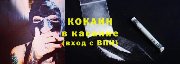 индика Богданович