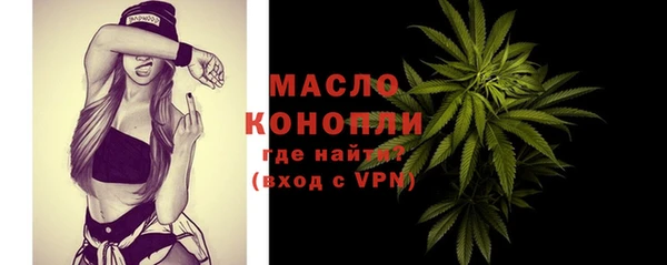 индика Богданович