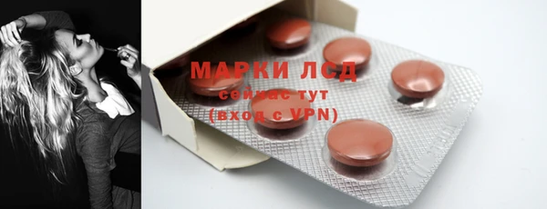 индика Богданович