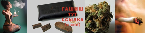 индика Богданович