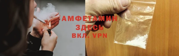 индика Богданович