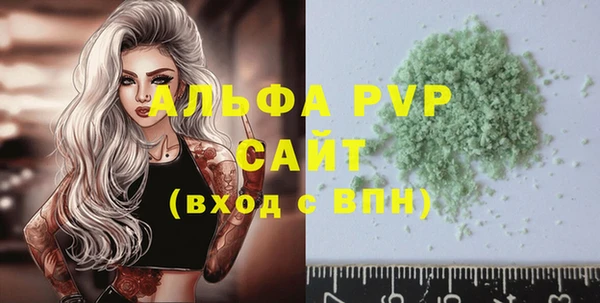индика Богданович