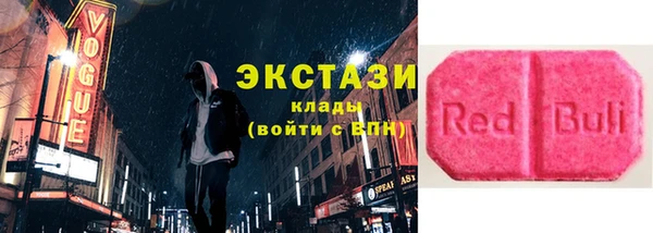 индика Богданович