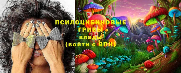 соль курить ск Богородск