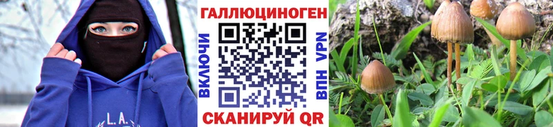 Галлюциногенные грибы мухоморы  даркнет сайт  Щигры 