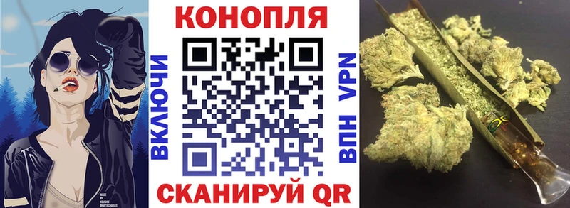 Канабис планчик  Щигры 